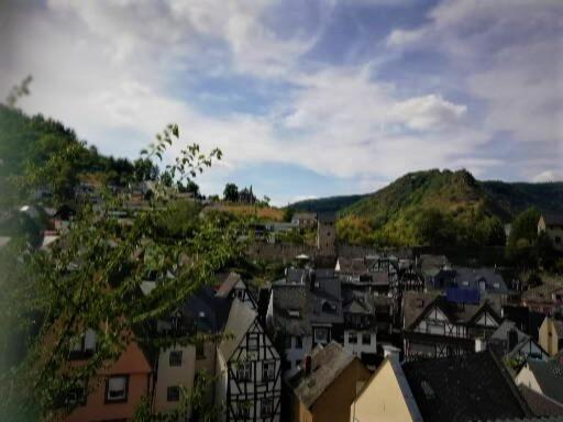 Hotel Zum Froehlichen Weinberg Cochem Exterior foto